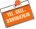 Cellulare 3395697078